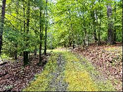 176 Beaver Lane Lot 1B, Earlton, NY 12058