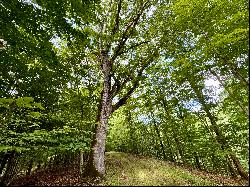 176 Beaver Lane Lot 1B, Earlton, NY 12058