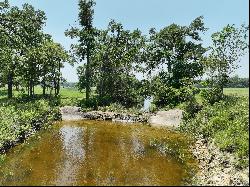 100+/- Acres Walker Ranch on Barton Creek, Hays County