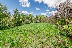 Premier Boulder Ridge Lot