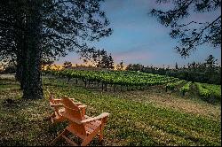 22 Acre Vineyard Estate