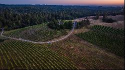 22 Acre Vineyard Estate