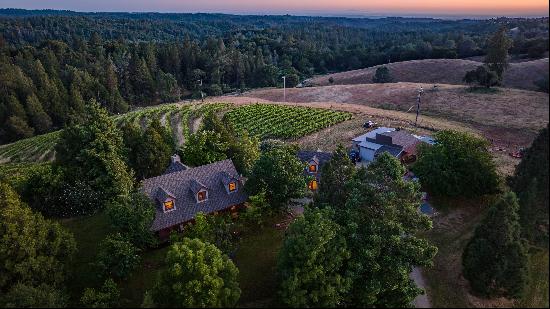 22 Acre Vineyard Estate