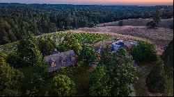 22 Acre Vineyard Estate