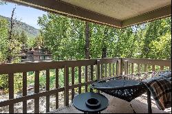 1028 East Hopkins Avenue, Aspen, CO 81611