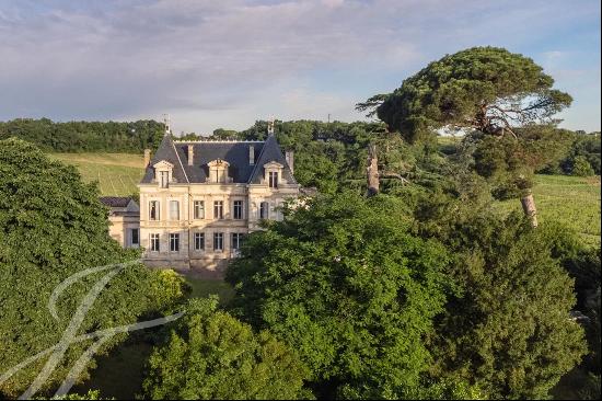 Château XIXe siècle - 22 Hectares AOC Exception - Near Saint-Emilion - 40mn Bordeaux