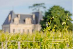 Chateau XIXe siecle - 22 Hectares AOC Exception - Near Saint-Emilion - 40mn Bordeaux