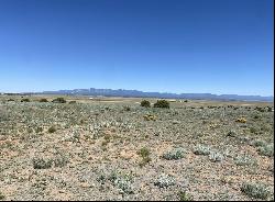 320 Ac. Hwy 60, Mountainair NM 87036