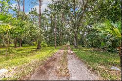 1761 W Holly Oaks Lake Road, Jacksonville FL 32225