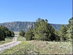 Lot 15 Buttonwood Drive, Ramah NM 87321