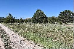 Lot 15 Buttonwood Drive, Ramah NM 87321