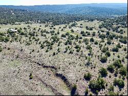 Lot 15 Buttonwood Drive, Ramah NM 87321