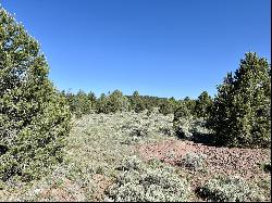 Lot 15 Buttonwood Drive, Ramah NM 87321