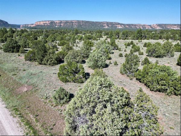 Lot 15 Buttonwood Drive, Ramah NM 87321