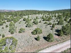 Lot 15 Buttonwood Drive, Ramah NM 87321