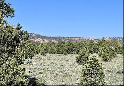 Lot 15 Buttonwood Drive, Ramah NM 87321