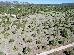 Lot 15 Buttonwood Drive, Ramah NM 87321