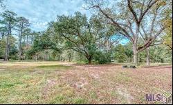 20765 Walker South Rd, Denham Springs LA 70726