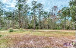 20765 Walker South Rd, Denham Springs LA 70726