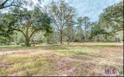 20765 Walker South Rd, Denham Springs LA 70726