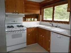 4790 E Brutus Road, Alanson MI 49706