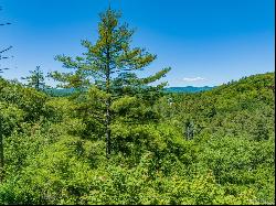 Lot 4 Big Bear Pen Road, Highlands NC 28741