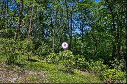 Lot 2 Big Bear Pen Road, Highlands NC 28741