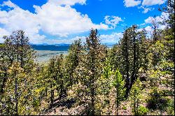 Outstanding 2 acre lot conveniently located on the east side of Middle Fork Vist