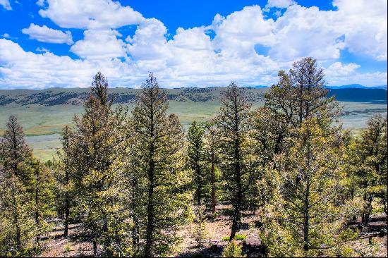 Outstanding 2 acre lot conveniently located on the east side of Middle Fork Vist