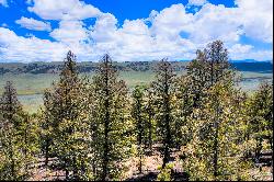 Outstanding 2 acre lot conveniently located on the east side of Middle Fork Vist