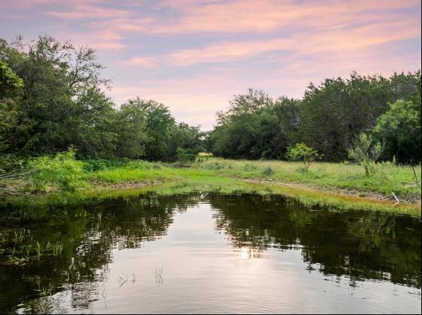 50 Acres at Muleshoe Bend