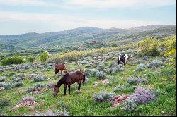 Park City's Serene Equestrian Paradise with Sweeping Ski Resort Views