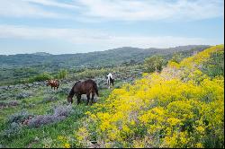 Park City's Serene Equestrian Paradise with Sweeping Ski Resort Views