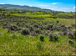 Rolling Meadow Paradise