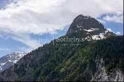 Newly built chalet in Courmayeur