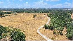 100± Unrestricted Acres Minutes From Downtown Fredericksburg