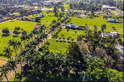 Serene plots in the Ayres del Este Condominium, Ciudad del Este.