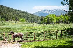 Your Ideal Horse Property Awaits in the Rocky Mountain Foothills!