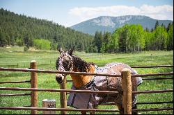 Your Ideal Horse Property Awaits in the Rocky Mountain Foothills!