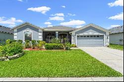 3803 Austin Range Drive, Land O Lakes FL 34639