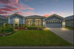 3803 Austin Range Drive, Land O Lakes FL 34639