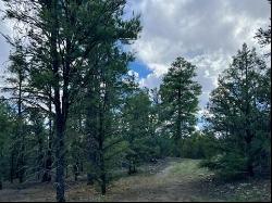 Lot 42 Sunflower Drive, Ramah NM 87321