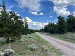 Lot 42 Sunflower Drive, Ramah NM 87321