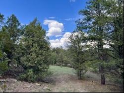 Lot 42 Sunflower Drive, Ramah NM 87321