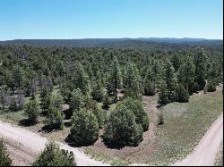 Lot 42 Sunflower Drive, Ramah NM 87321