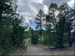 Lot 42 Sunflower Drive, Ramah NM 87321