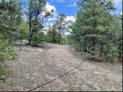 Lot 42 Sunflower Drive, Ramah NM 87321