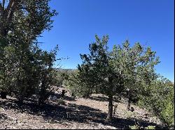 Lot 42 Sunflower Drive, Ramah NM 87321