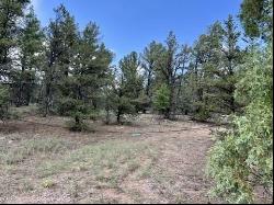 Lot 42 Sunflower Drive, Ramah NM 87321