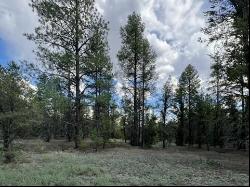 Lot 42 Sunflower Drive, Ramah NM 87321